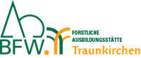 fasttraunkirchen_logo_2018